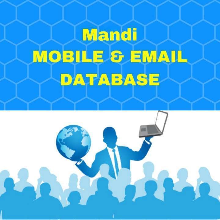 Mandi Database - Mobile Number and Email List
